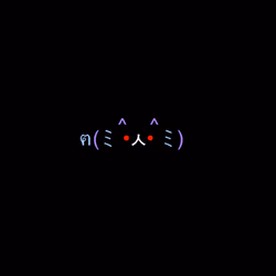 cats #6527