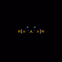 cats #2062