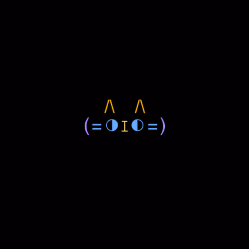 Cats Wtf