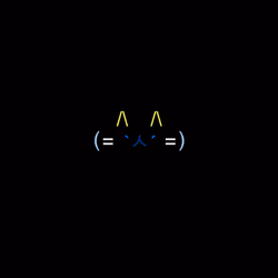cats #7872