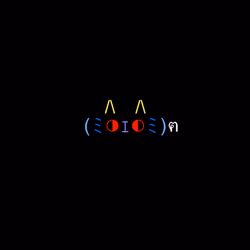 cats #2821