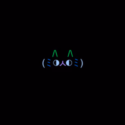 cats #304