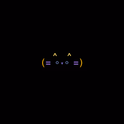 cats #6371