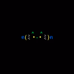 cats #9062