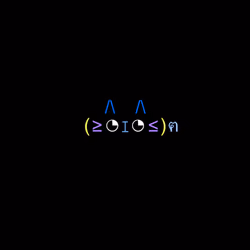 cats #2362