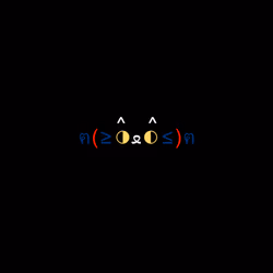 cats #9063