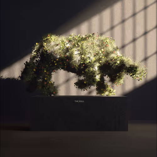Art Of Nature 15