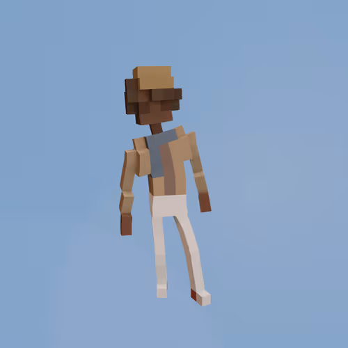 Voxel Ville Avatars