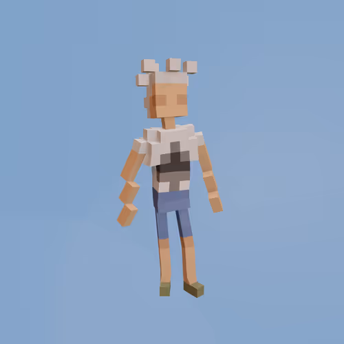 Voxel Ville Avatar #370