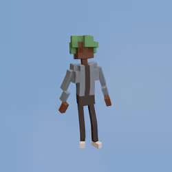 Voxel Ville Avatar #1577