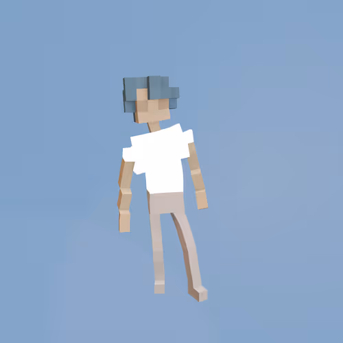 Voxel Ville Avatars