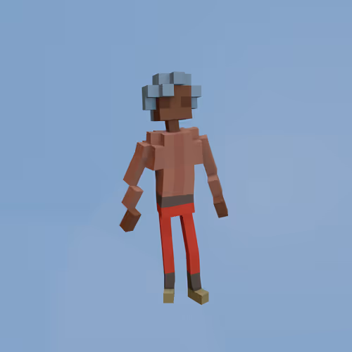 Voxel Ville Avatars