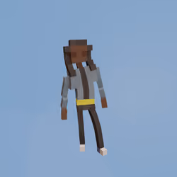 Voxel Ville Avatar #2042