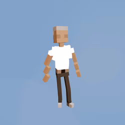 Voxel Ville Avatar #1985
