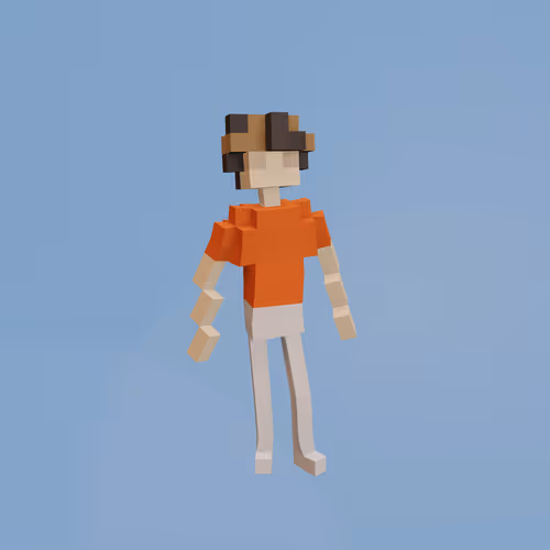 Voxel Ville Avatars