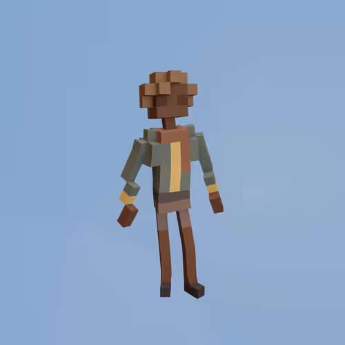 Voxel Ville Avatars