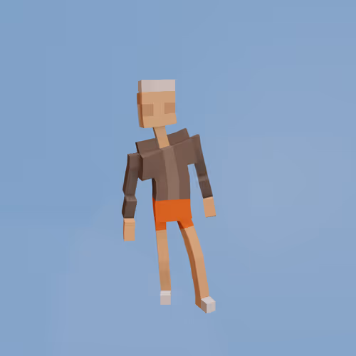 Voxel Ville Avatars
