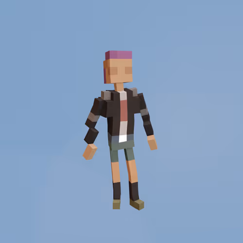 Voxel Ville Avatars