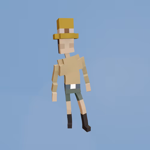 Voxel Ville Avatars