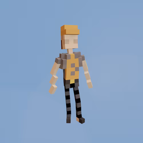 Voxel Ville Avatars