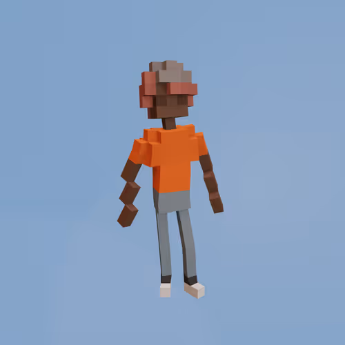 Voxel Ville Avatars