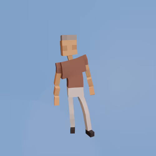 Voxel Ville Avatars
