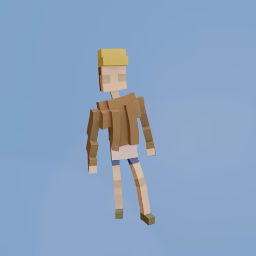 Voxel Ville Avatar #2048