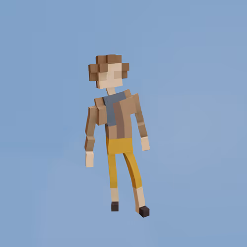 Voxel Ville Avatars