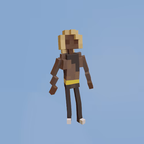 Voxel Ville Avatars