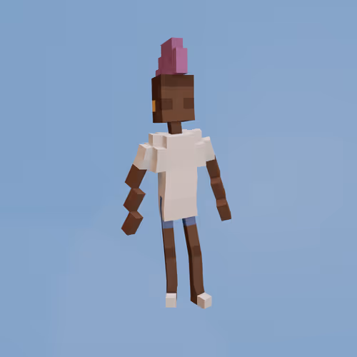 Voxel Ville Avatars