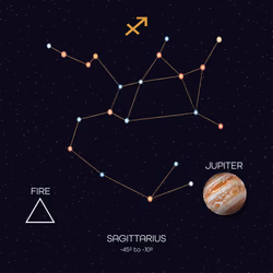 Cosmos Sagittarius