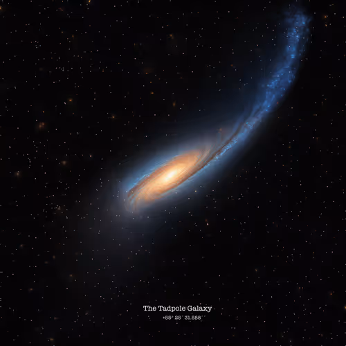 The Tadpole Galaxy