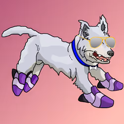 Zoomie Pack #14