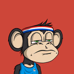 Jungle Bay Ape #1316