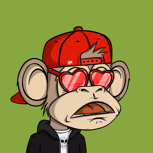 Junglebay