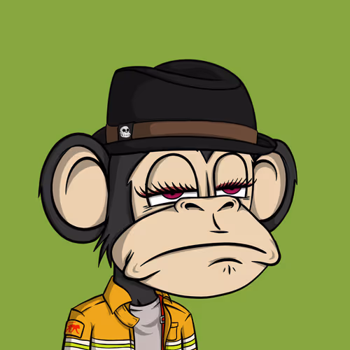 Junglebay