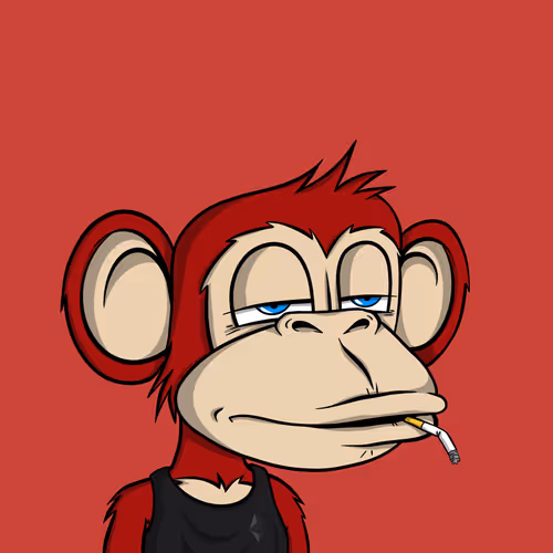 Junglebay