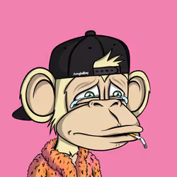 Jungle Bay Ape #2803