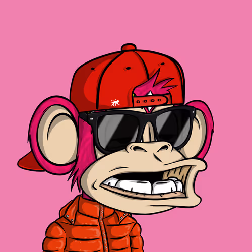 Junglebay
