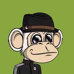 Jungle Bay Ape #2347