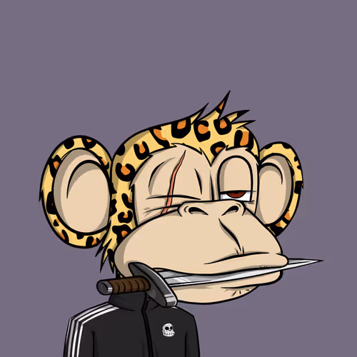 Junglebay
