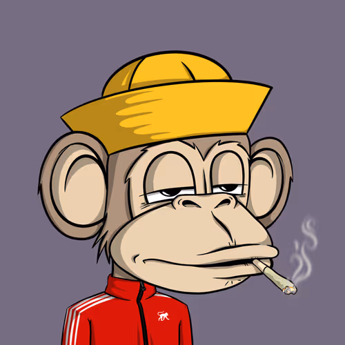Junglebay