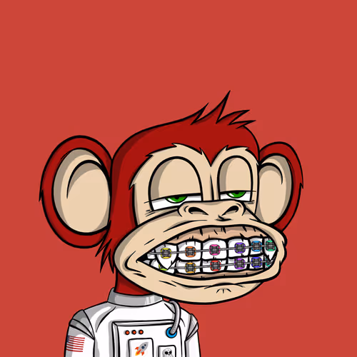 Junglebay