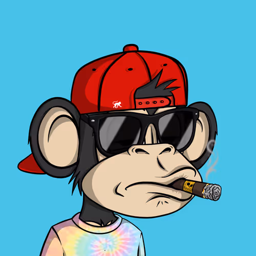 Junglebay