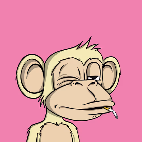 Junglebay
