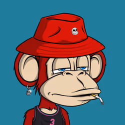 Jungle Bay Ape #3054
