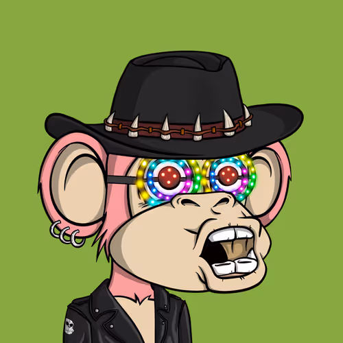 Junglebay