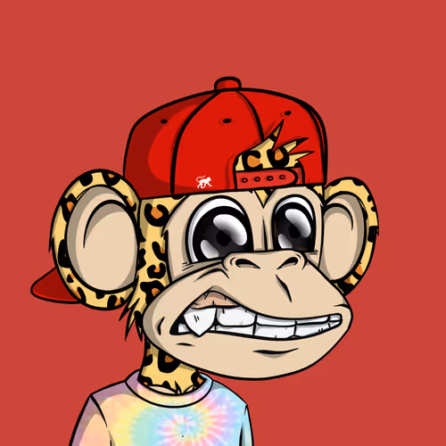 Junglebay