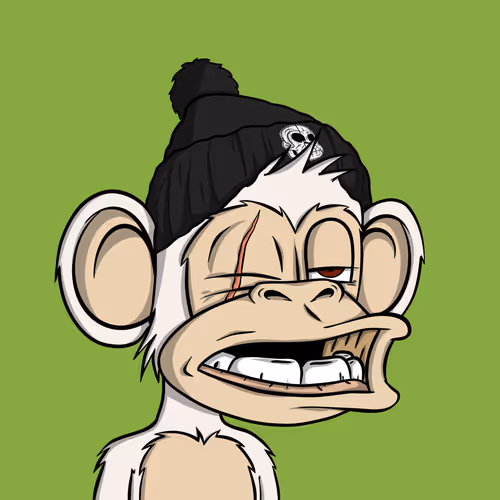 Junglebay
