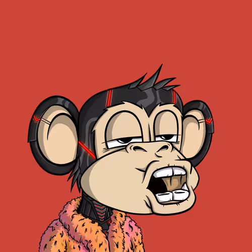 Junglebay